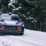 Rally Sweden 2017 winterrally vinterrally vargåsen sweden sveska svenska rallyt rally sweden rally 