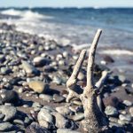Gotland 2017 travel resebilder resa ocean nature natur havet gotland 