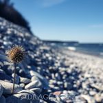 Gotland 2017 travel resebilder resa ocean nature natur havet gotland 