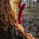 Yarny – A Day Out yarny unravel skogen 