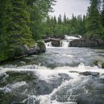 Semester Idre stuga skog semester ren idre grövelsjön fors 